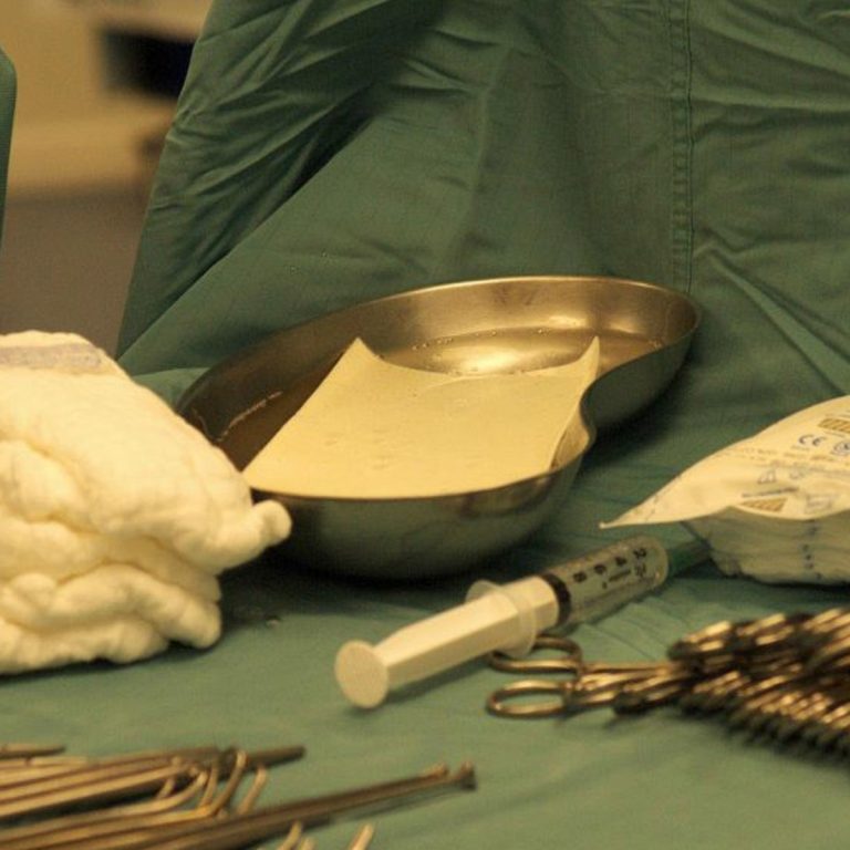 Braxon-Aseluler-Dermal-Matriks